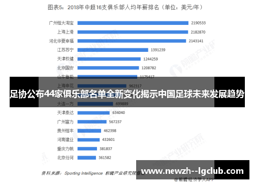 足协公布44家俱乐部名单全新变化揭示中国足球未来发展趋势 足协公布44家俱乐部名单全新变化揭示中国足球未来发展趋势